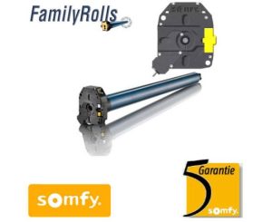 SOMFY 1164003 SIRIUS CSI 80Nm 142Kgr